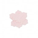 5 Fleurs en papier rose poudré