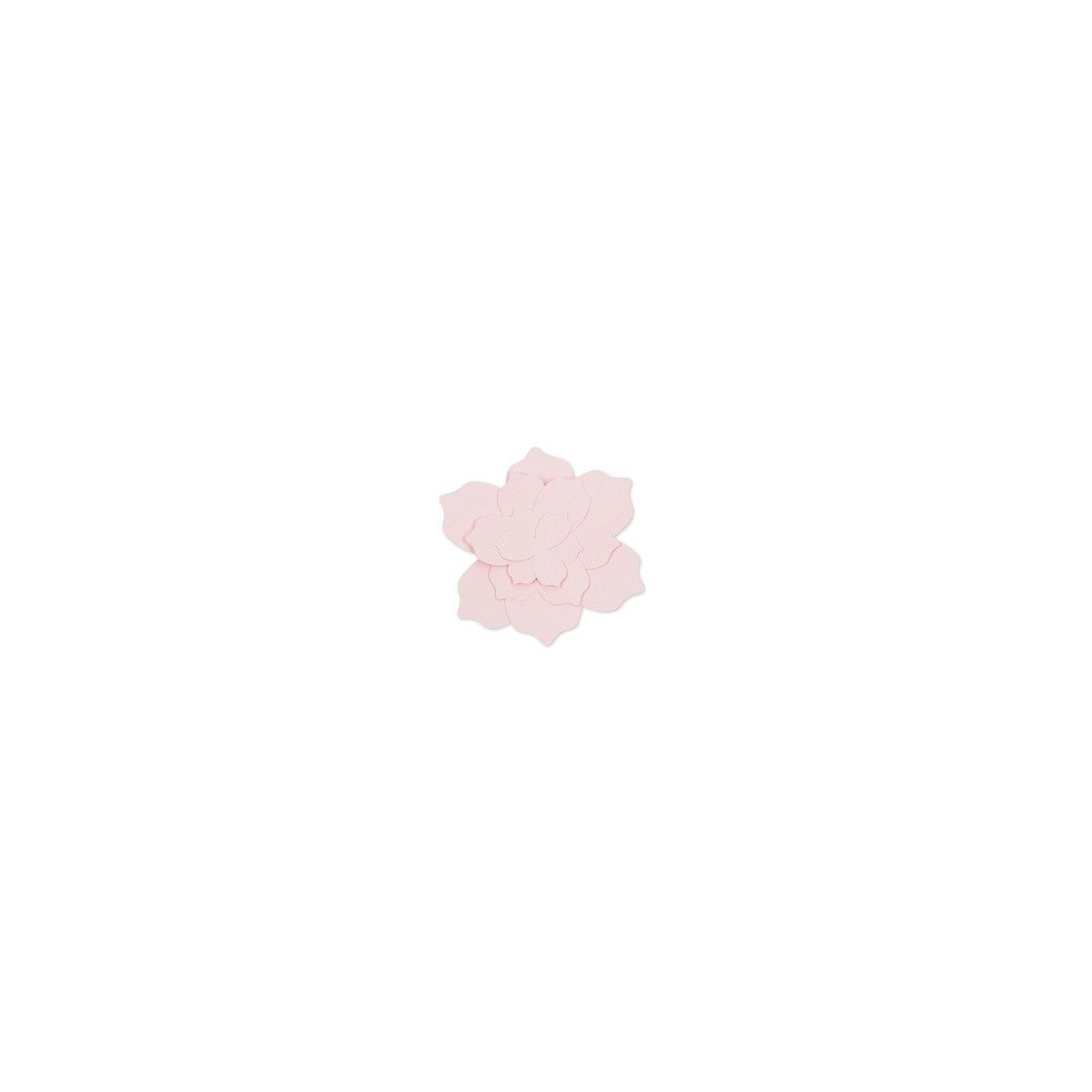 5 Fleurs en papier rose poudré