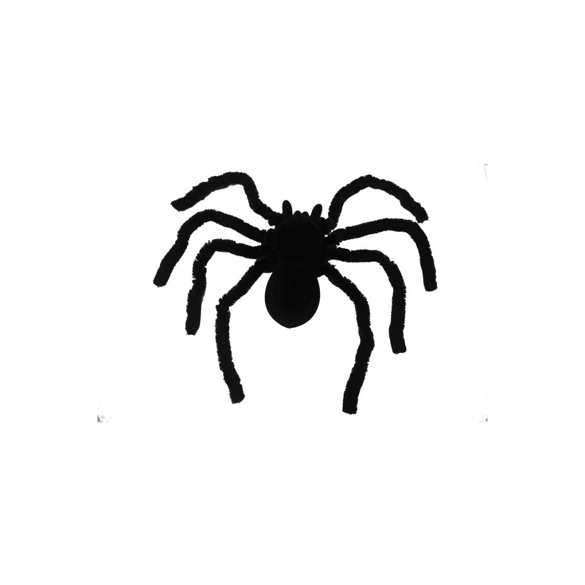 Araignée Mygale noire 46 cm