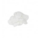 Pétales de roses blanches en mousse 5 cm