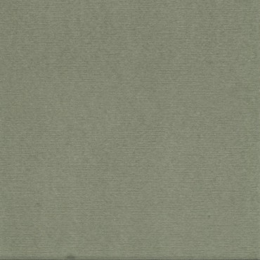 20 Serviettes uni vert thé F. Paviot - 40 x 40 cm
