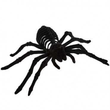 Araignée Mygale noire 20 cm