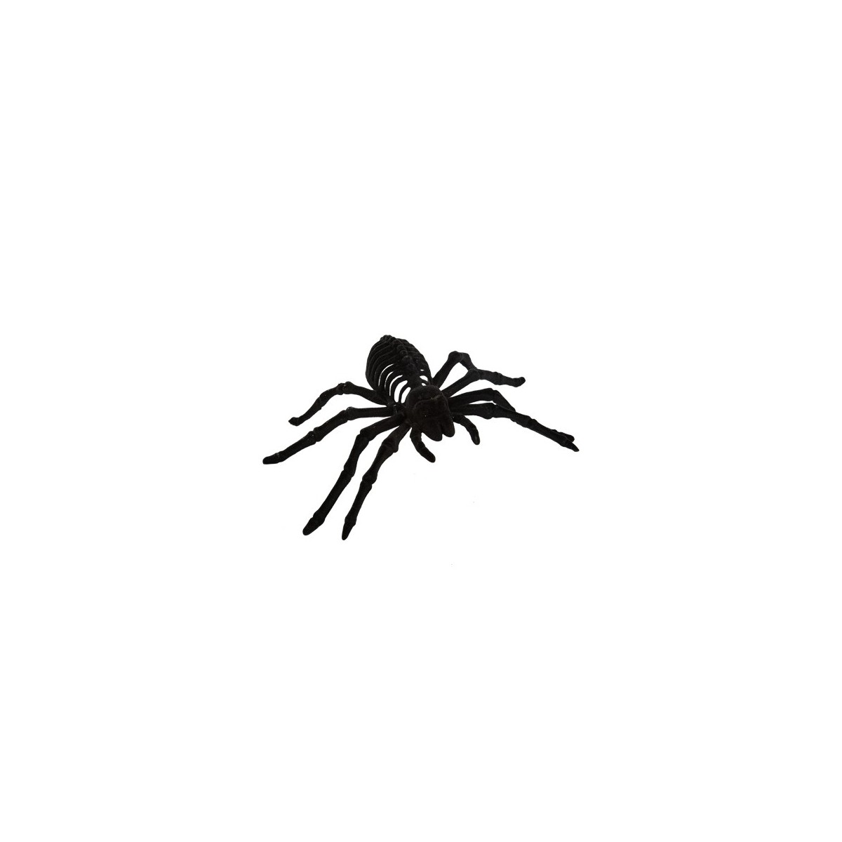 Araignée Mygale noire 20 cm