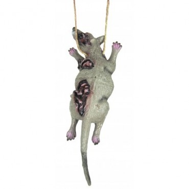 Collier rat enragé