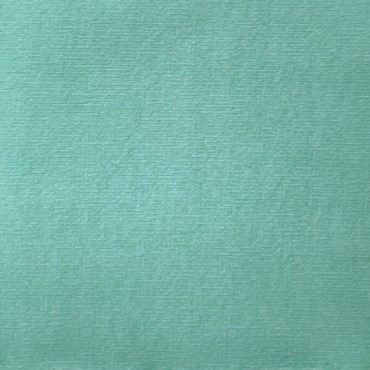 20 Serviettes Bleu gris F. Paviot - 40 x 40 cm