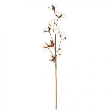 Branche de fleurs de coton 67 cm