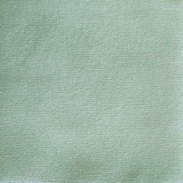 20 Serviettes vert sauge - 40 x 40 cm