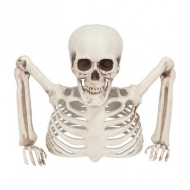 Squelette mort vivant