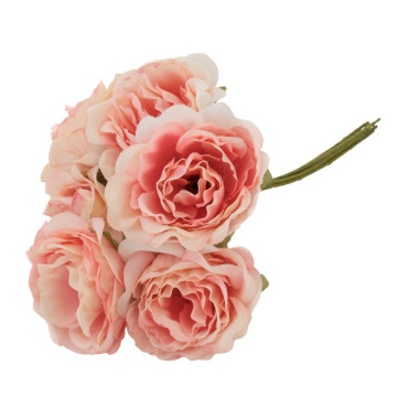 Bouquet de 6 Pivoines vieux...