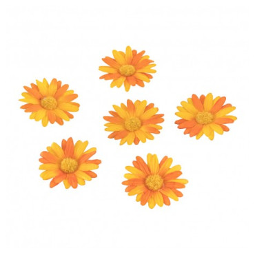 Marguerites oranges à parsemer