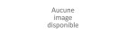 25 Serviettes blanches - 40x40 cm PROMO